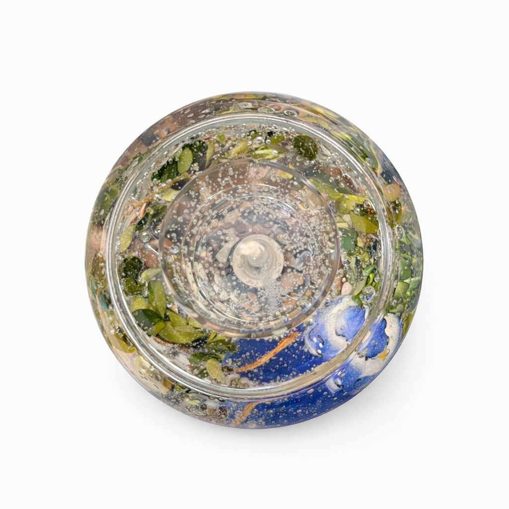 Bluejay Earth