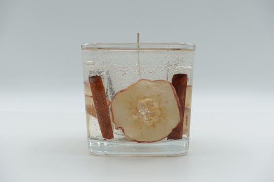 Refillable Cinnamon Apple Gel Candle with real apple slice and cinnamon sticks