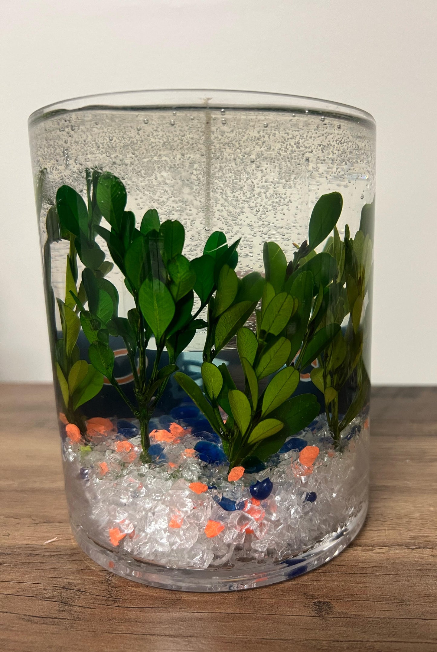 OAK: Football Helmets